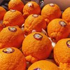 【澳大利亚进口丑橘】16头/箱，超大果  肉嫩爆汁 商品缩略图6