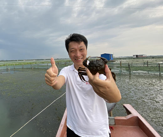 山水阳澄 阳澄湖大闸蟹（蟹卡 蟹）限时折扣5折起！ 商品图1