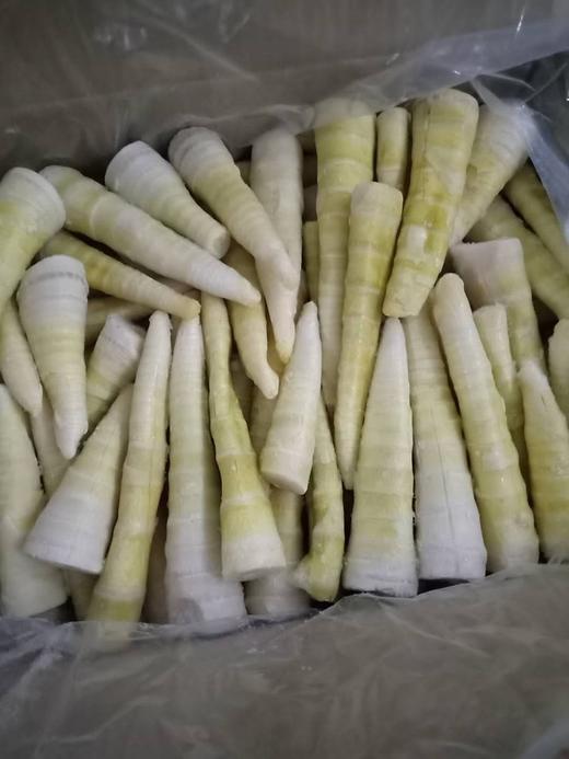 速冻春笋1千克 商品图1