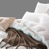 喜芙妮家纺床上用品 冰岛羽绒被 200*230CM 商品缩略图1