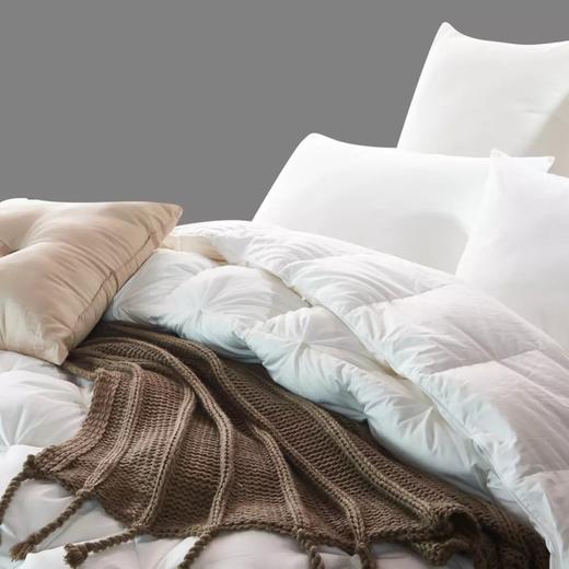 喜芙妮家纺床上用品 冰岛羽绒被 200*230CM 商品图1