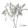 配叶 | 银羽叶 商品缩略图0