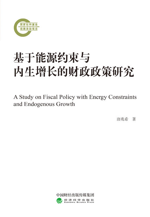 基于能源约束与内生增长的财政政策研究 商品图0