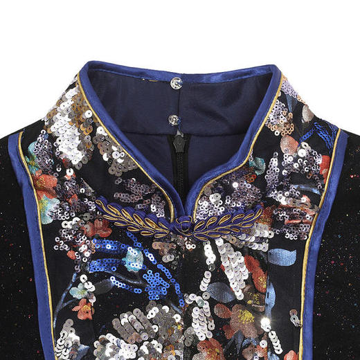 DLQ-A2698新款轻奢名媛气质中国风连衣裙 商品图2