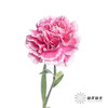 单头康乃馨 | 笑颜 商品缩略图3