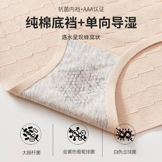【6条特惠组合装】新款高腰无痕纯棉提花内裤，不夹臀提臀收腹抗菌裆内裤 TS816 商品图3