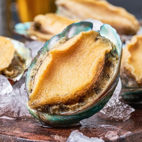 带壳大鲍鱼 5-7头/斤 商品图0