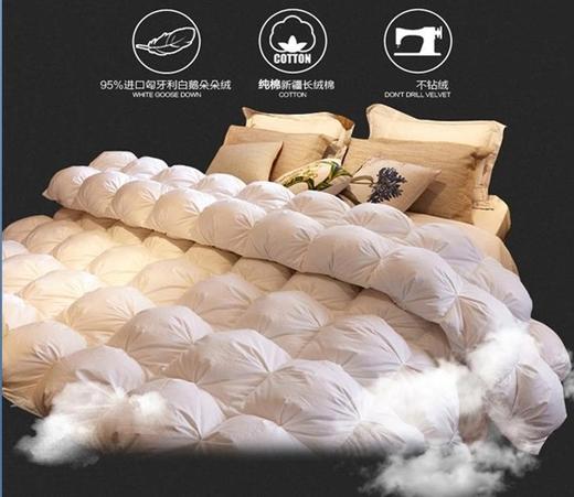 喜芙妮家纺床上用品 冰岛羽绒被 200*230CM 商品图0