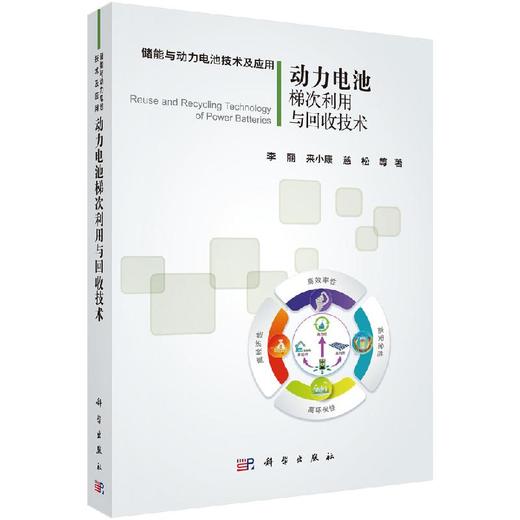 动力电池梯次利用与回收技术/李丽 商品图0