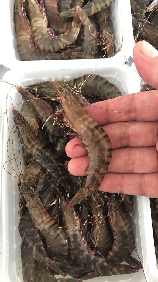 特大黑节虾 2盒 商品图0