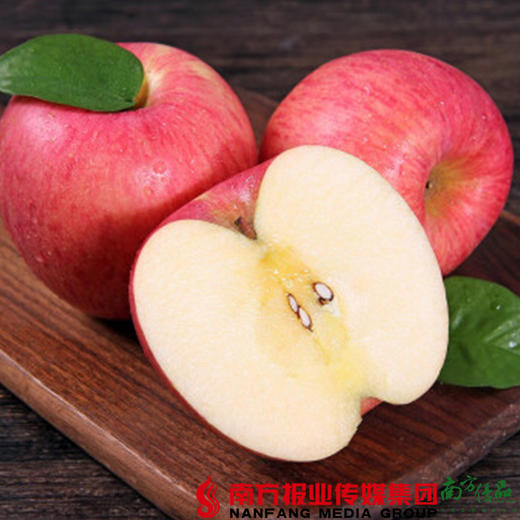 【全国包邮】沂蒙山红富士苹果 4.5-5斤/箱（72小时内发货） 商品图0