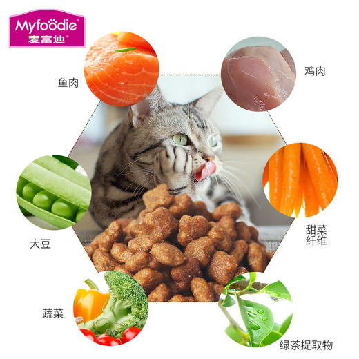 【10人团】麦富迪全价三文鱼油配方猫粮1.5kg/10kg 商品图2