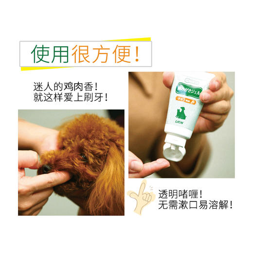 lion狮王宠物牙膏 商品图2