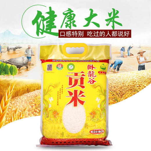红河卧龙谷 贡米5.0kg/袋 商品图0