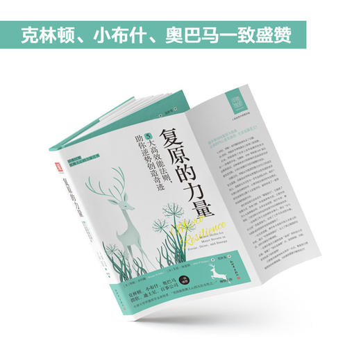 复原的力量 : 5大高效能法则，助你逆势创造奇迹 商品图2