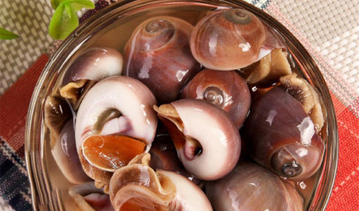 大香螺 1斤1盒 商品图1