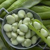 速冻大蚕豆300克/包 商品缩略图3