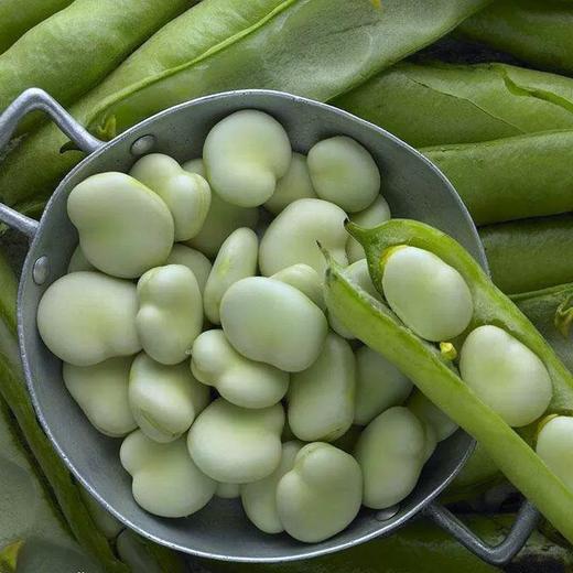 速冻大蚕豆300克/包 商品图3