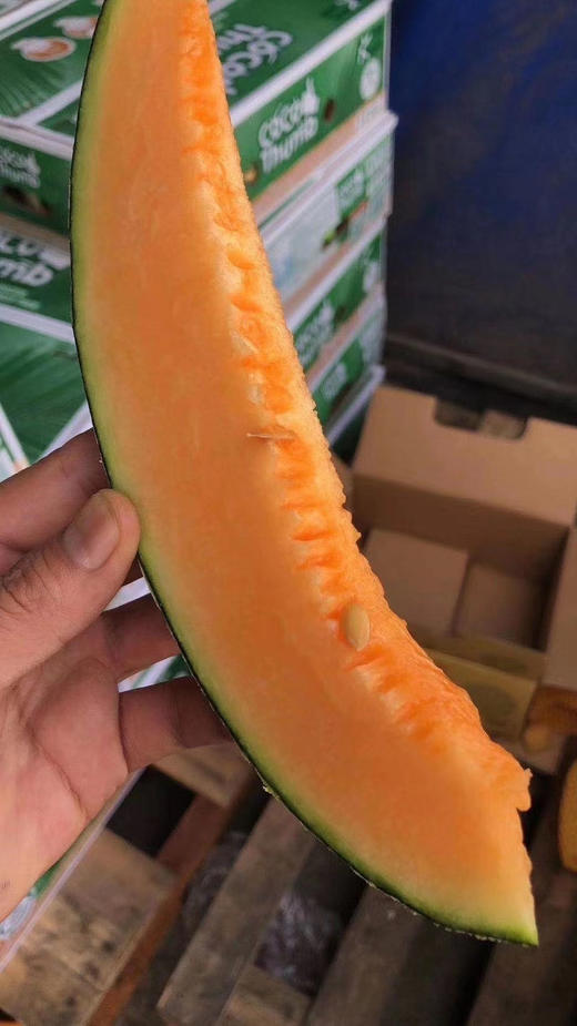 精品缅甸品质哈密瓜2颗约45kg箱实惠好吃推荐