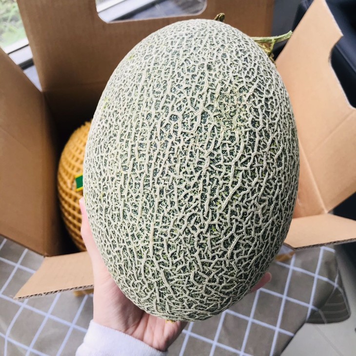 精品缅甸品质哈密瓜2颗约45kg箱实惠好吃推荐