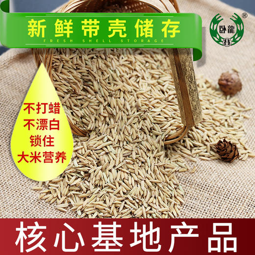 红河卧龙谷香软米 5kg/袋 商品图1