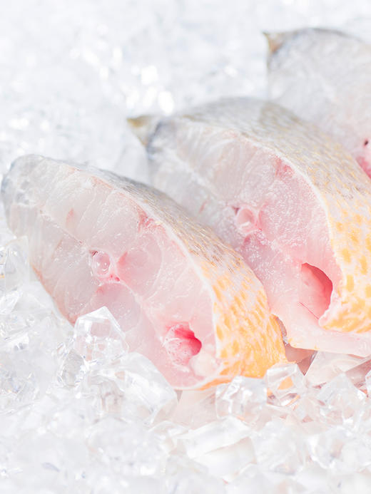 小黄花鱼 5-7条 商品图1