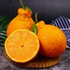 【澳大利亚进口丑橘】16头/箱，超大果  肉嫩爆汁 商品缩略图0
