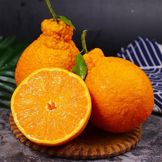 【澳大利亚进口丑橘】16头/箱，超大果  肉嫩爆汁 商品图0