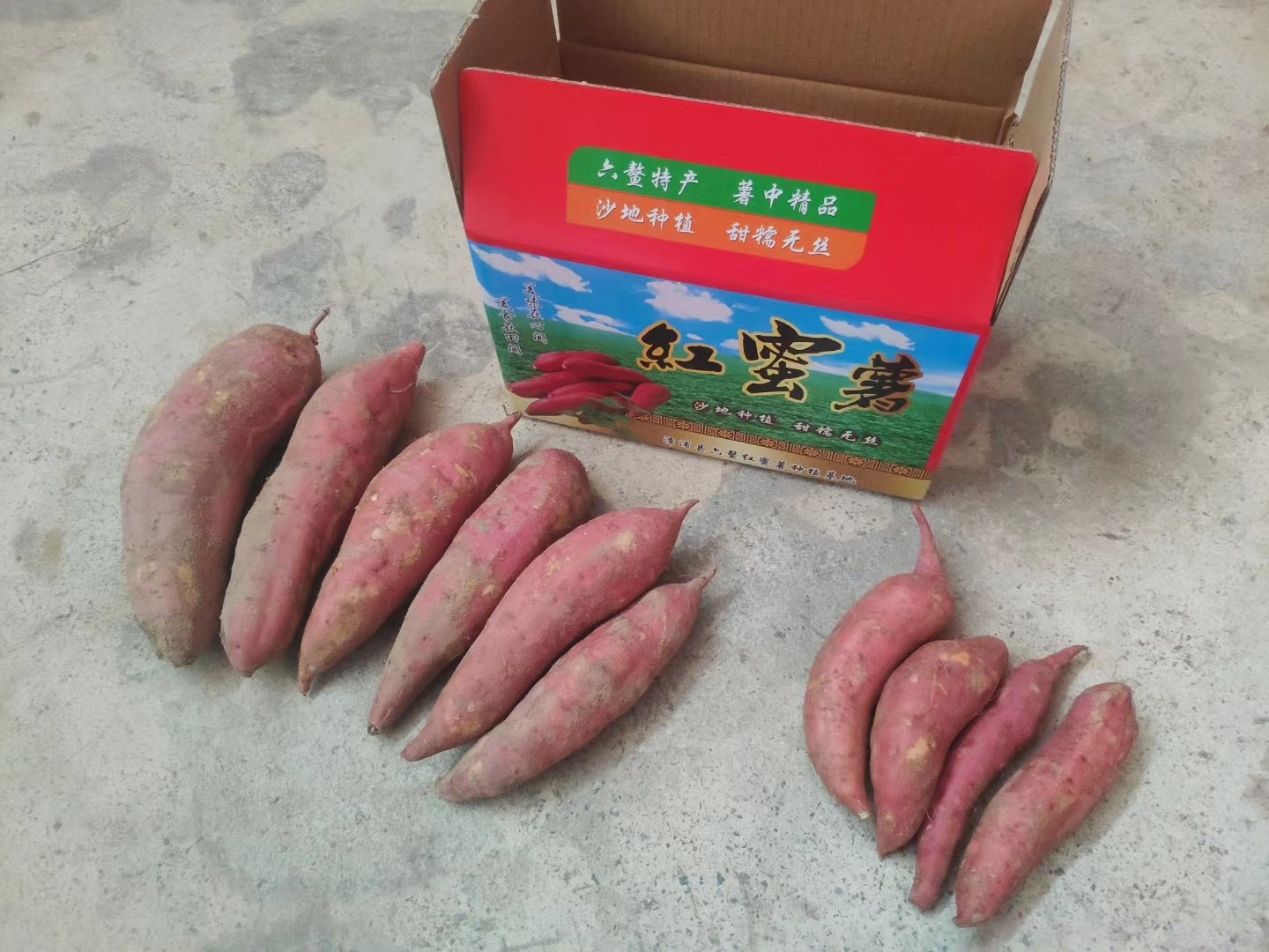 包邮--福建正宗六鳌红蜜薯5斤农家沙地红薯新鲜现挖软糯香甜无丝