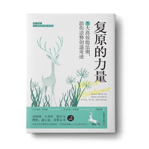 复原的力量 : 5大高效能法则，助你逆势创造奇迹 商品图0