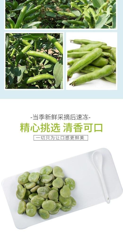 速冻大蚕豆300克/包 商品图4