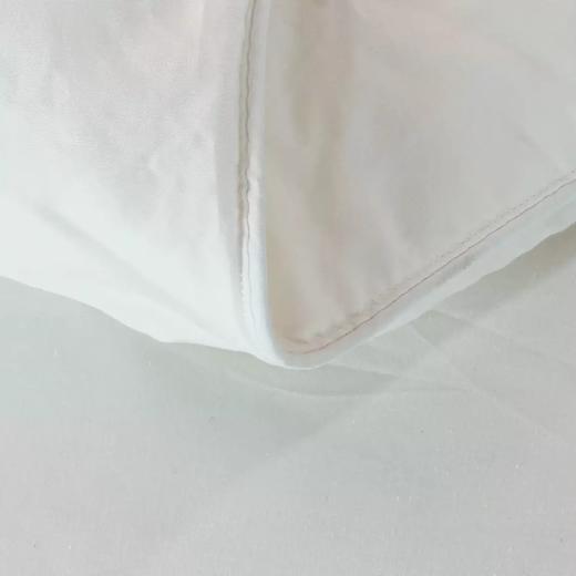 喜芙妮家纺床上用品 冰岛羽绒被 200*230CM 商品图4
