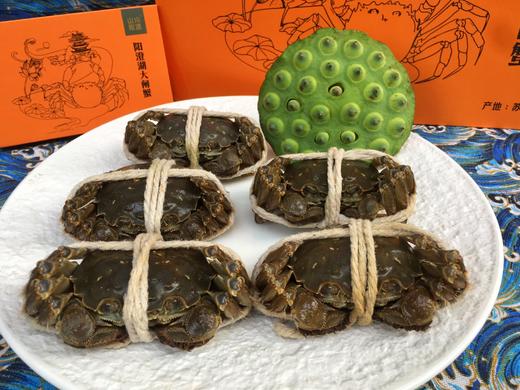 山水阳澄 阳澄湖大闸蟹（蟹卡 蟹）限时折扣5折起！ 商品图4