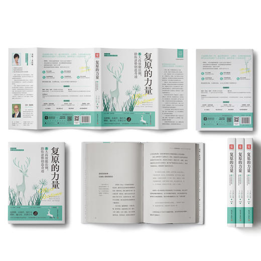 复原的力量 : 5大高效能法则，助你逆势创造奇迹 商品图1
