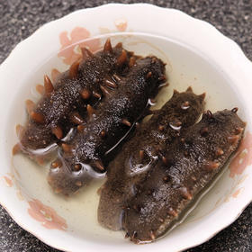 新鲜大海参 10个