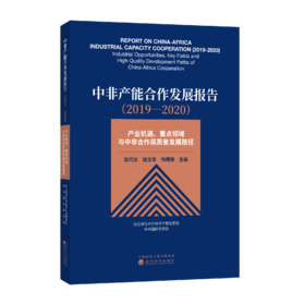 中非产能合作发展报告（2019—2020）——产业机遇、重点领域与中非合作高质量发展路径