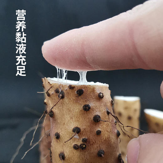 河南温县垆土铁棍山药 | 山人优选，顺丰包邮，25年新挖，药食同源，堪比“人参”，纯天然种植， 不容错过的粉糯甘甜！ 商品图2