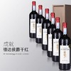 德达侯爵.波尔多干红葡萄酒     750ml/瓶 商品缩略图1