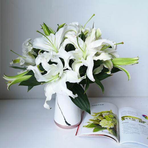 云南鲜花基地直发水养插花居家办公室插花西伯利亚白百合20枝