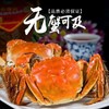 超大江苏阳澄湖水域大闸蟹 商品缩略图0