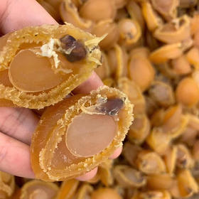 鲍鱼干 40个左右