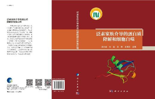 泛素家族介导的蛋白质降解和细胞自噬/邱小波 商品图3