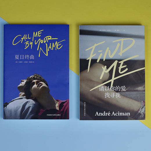 请以你的名字呼唤我（夏日终曲+请以你的爱找寻我）（套装共2册）Call Me by Your Name外国文学 商品图1