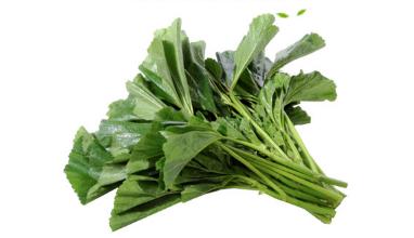 冬寒菜 商品图2