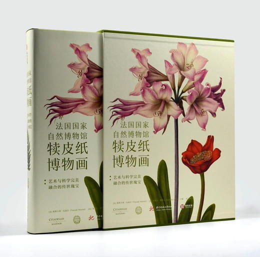 【礼盒装】法国自然博物馆犊皮纸博物画  简体中文版 800幅珍惜稀的犊皮纸博物画400年经典历史遗产 净重14斤 商品图1