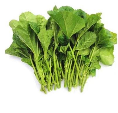 冬寒菜 商品图1