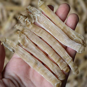 本地沙虫干 大 生晒