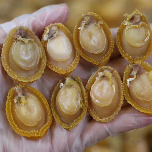 鲍鱼干 40个左右 商品图1