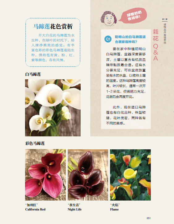 球根花卉超好种