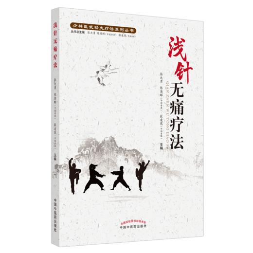 浅针无痛疗法【张大勇, 陈英晖, 张凌岚】 商品图4